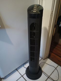 Fan