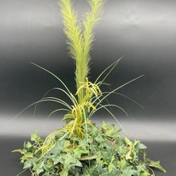 Decorative Artificial Ivy Grass Lilly Plants Base Tabletop Planter 21"x16"x14"