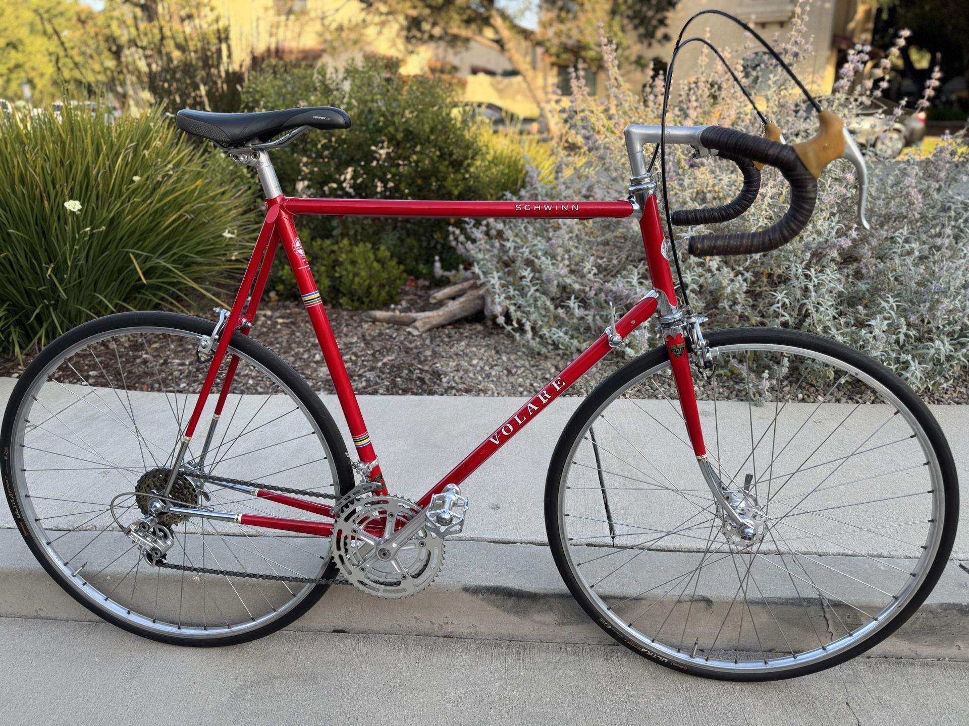 1977 Schwinn Volare “Japanese Paramount”
