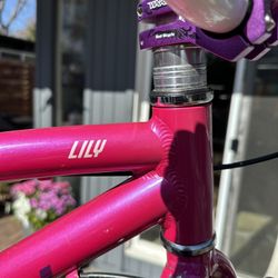 Raleigh Lily 20" 6 speed bicycle. Alloy Frame = Light. Used. Color is iridescent pink and purple. 