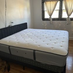 Stearns and foster mattress with box springs