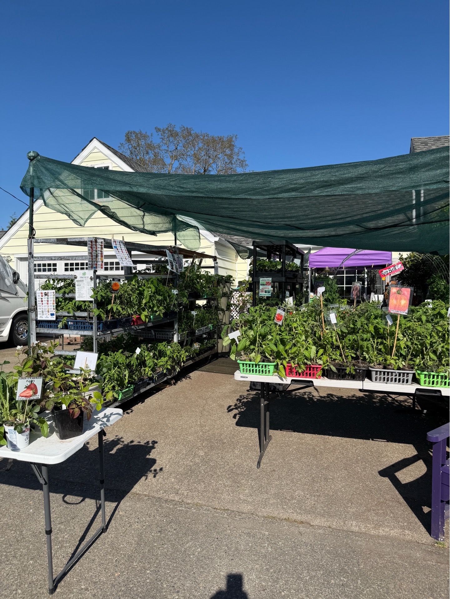 🌱 ORGANIC EDIBLE PLANT SALE 🌱
Master Gardener Grown Right Here in the Puyallup Valley!
