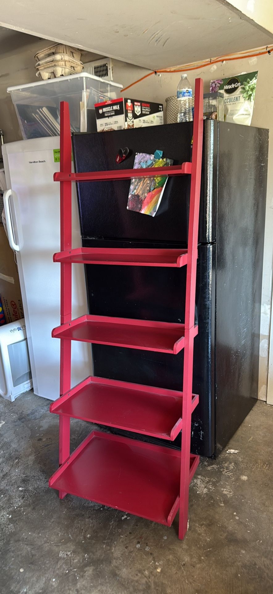 Ladder Shelf