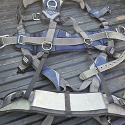 Harness 