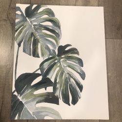 Canvas Frame
