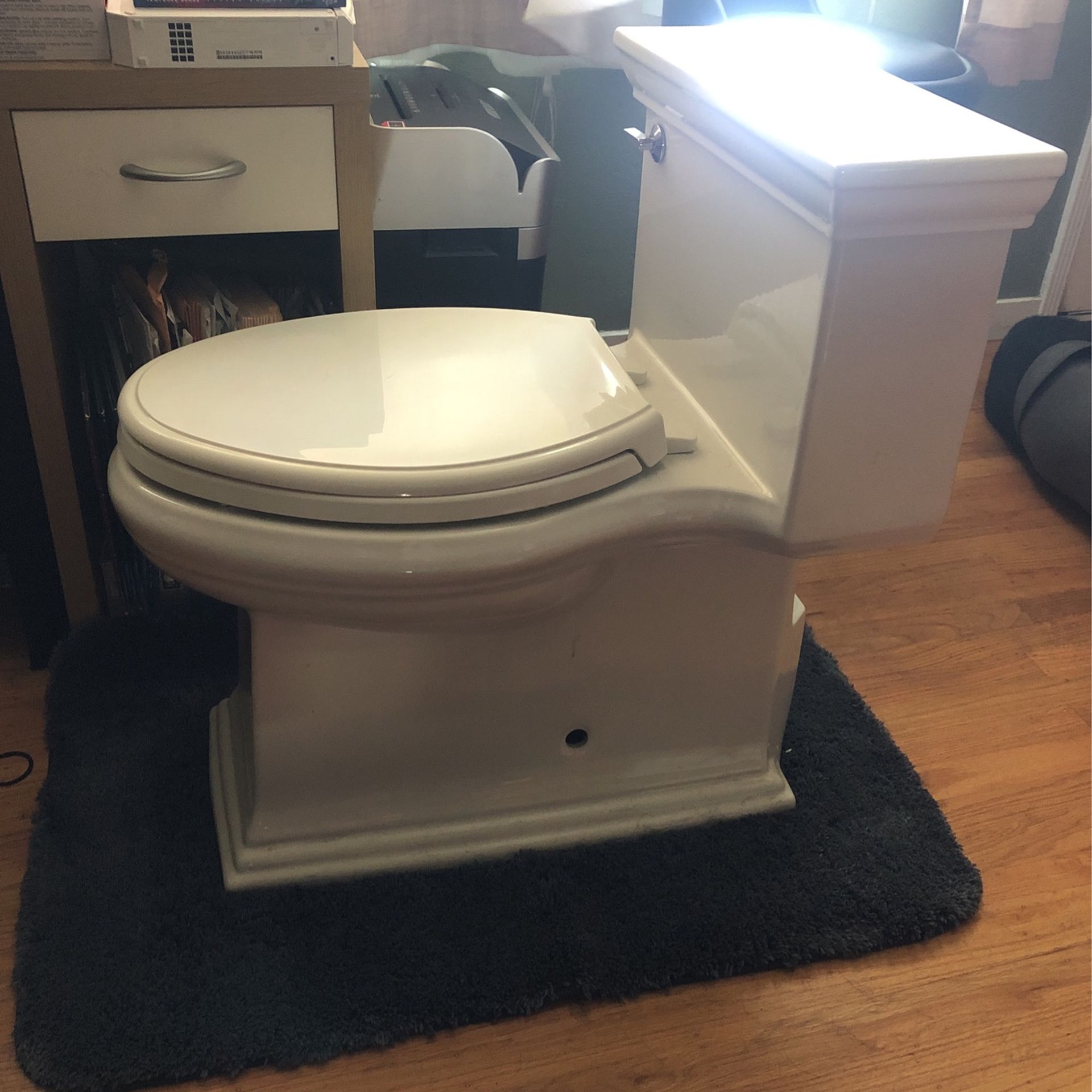 Kohler Toilet