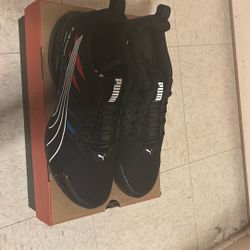 BMW M Motorsport Voltaic Evo Puma’s