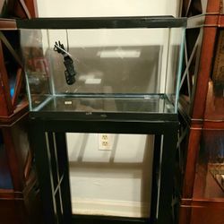 ** NEED GONE ASAP ** 10 Gallon Fish Tank With Stand 