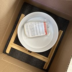 Ceramic Raised Dog Bowl with Stand for Large