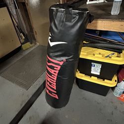 Everlast Punching Bag 
