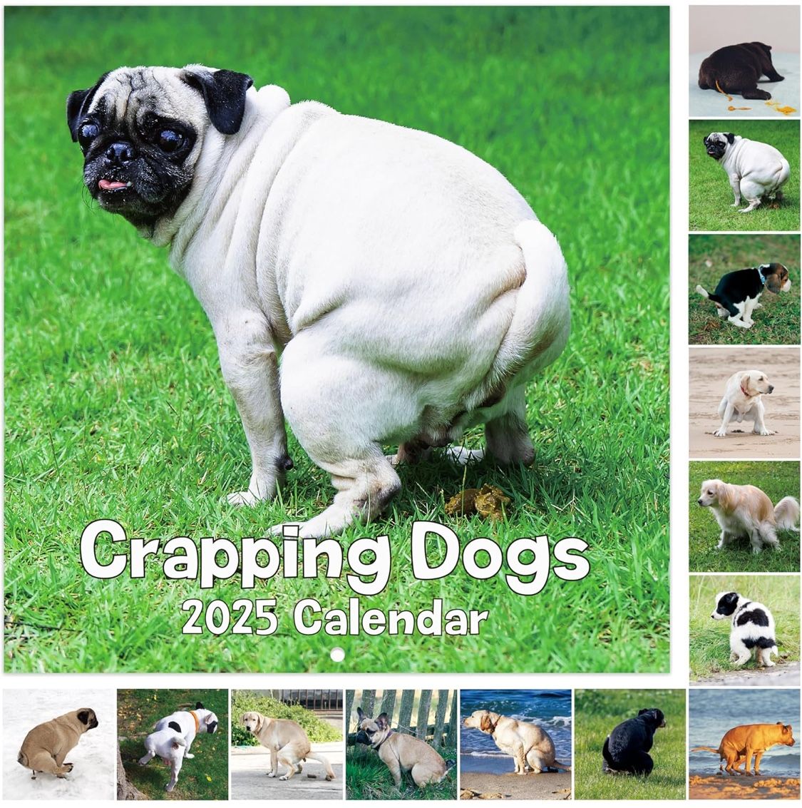 Funny Dogs Calendar 2025