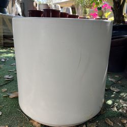 White Pot For Plants 