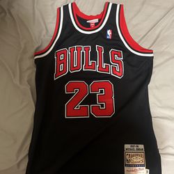 Jordan Bulls Jersey 23
