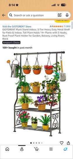 Plant Holder