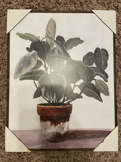 Wall Picture 14.5” x 18.5”