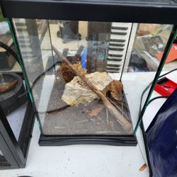 Small Reptile Cage