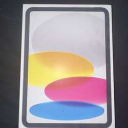 iPad 