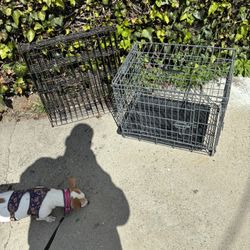 Dog Or Cat Cages