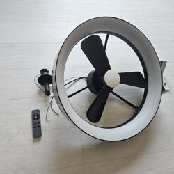 Austin ceiling fan light