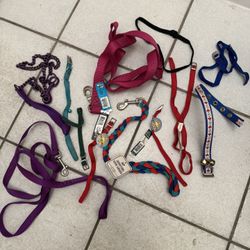 Dog  Collars And Leashes 