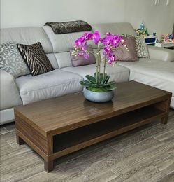 IKEA Dark Wood Coffee Table or TV Stand (Orchid is not included)