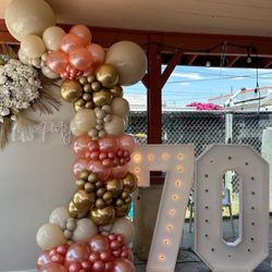 Backdrops And More ✨🤍