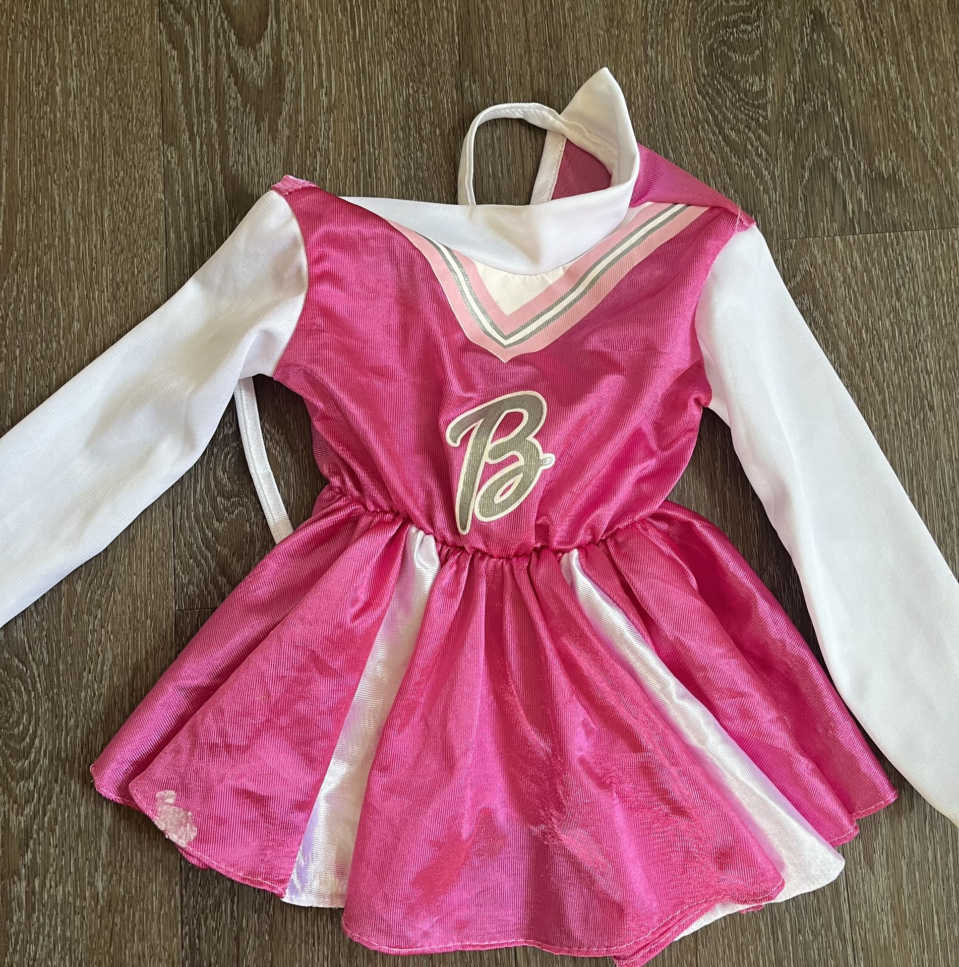 Barbie cheer costume