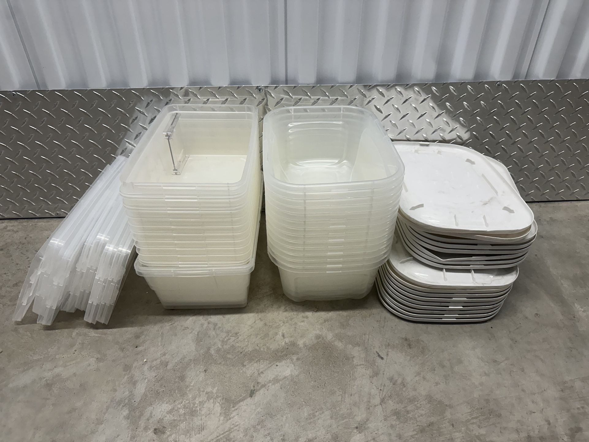 Clear Bins Storage Shoe Containers
