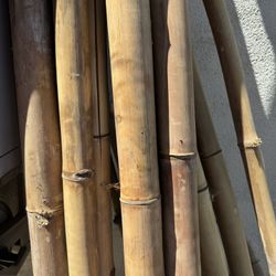bamboo sticks poles