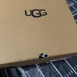 Uggs 