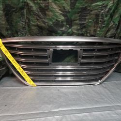 2018-20 Hyundai Genesis G80 Grill (Auto Parts)