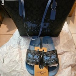 Coach bag and Slides 
