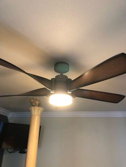 Ceiling fan with light