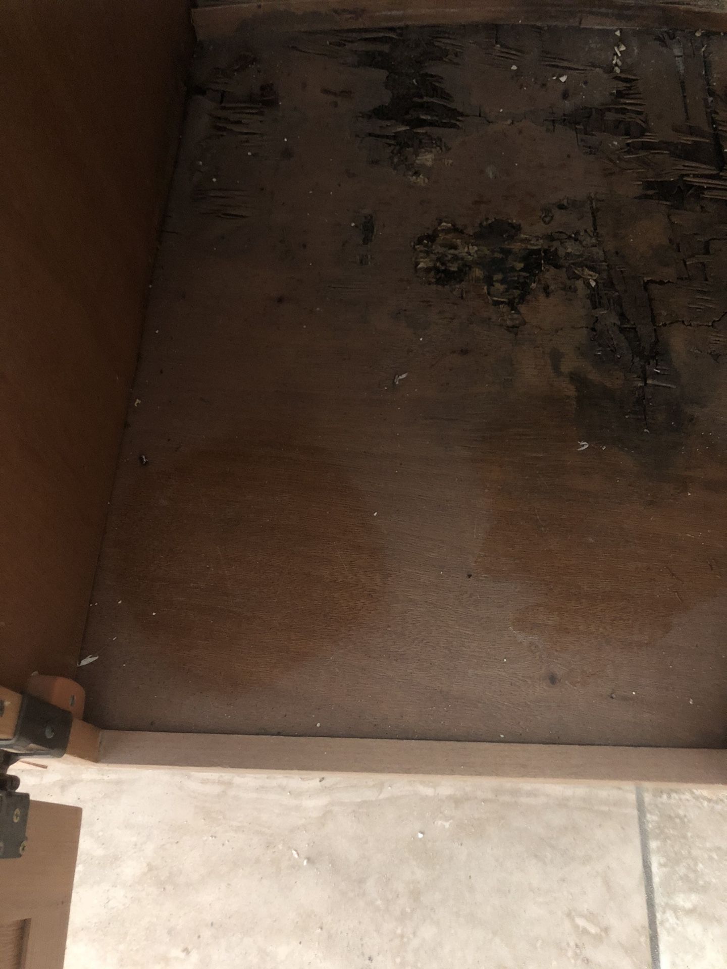Kitchen cabinets