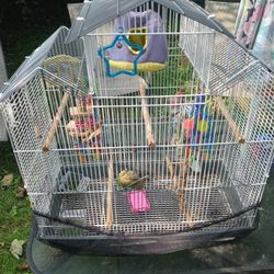 Animal Cages Assorted Make Me An Offer