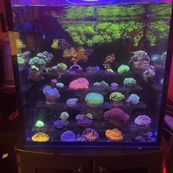 Red-Sea Max Nano G2 Tank - Many Accessories including Spin Touch Tester!