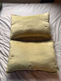 Pair of Sage Green Lumbar Throw Pillows – 21” x 14”