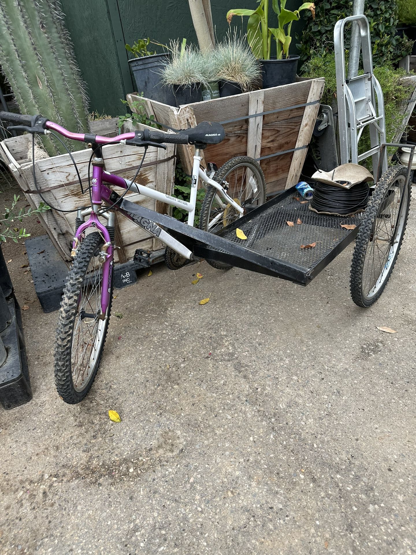 KITCHEN SINK Bicycle 