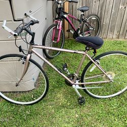 Vintage Corsa Norvara Bike