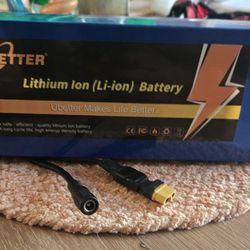 48v 10ah lithium ion battery