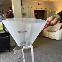 Dog Cone 