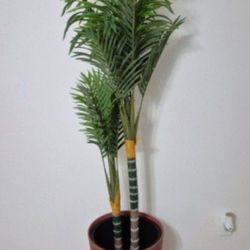 *** NEW LOW PRICE *** 5ft Faux Golden Cane Palm in a 22in Sienna Resin Planter @ Lasting Creations