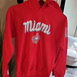 Boys Sweatshirt Size XL