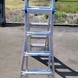 Warner 17' 300lb Ladder
