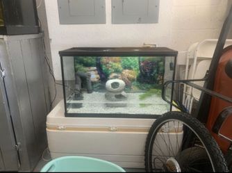 30 gallon fish tank