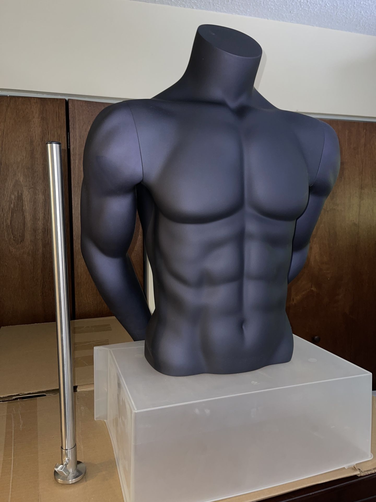 Premium Male Torso Mannequin