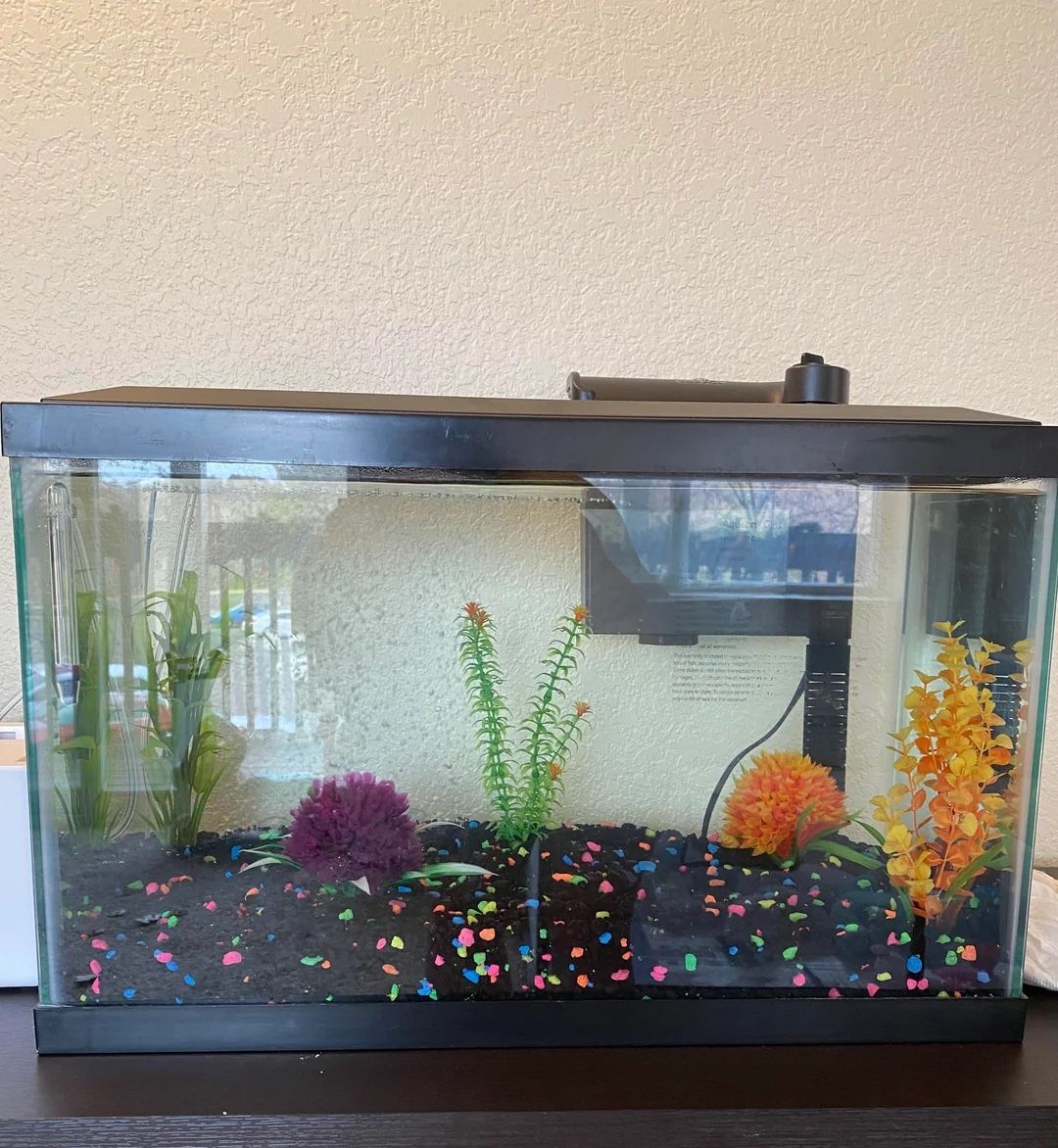 Fish Tank