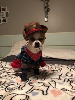 Dog Sheriff Costume