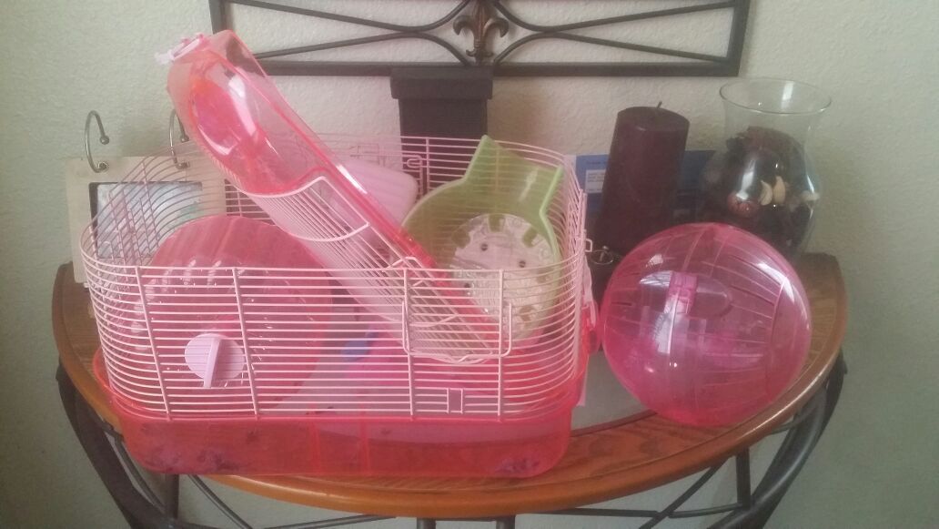Hamster cage and ball and everyrhing goes with it will include food as well make offers