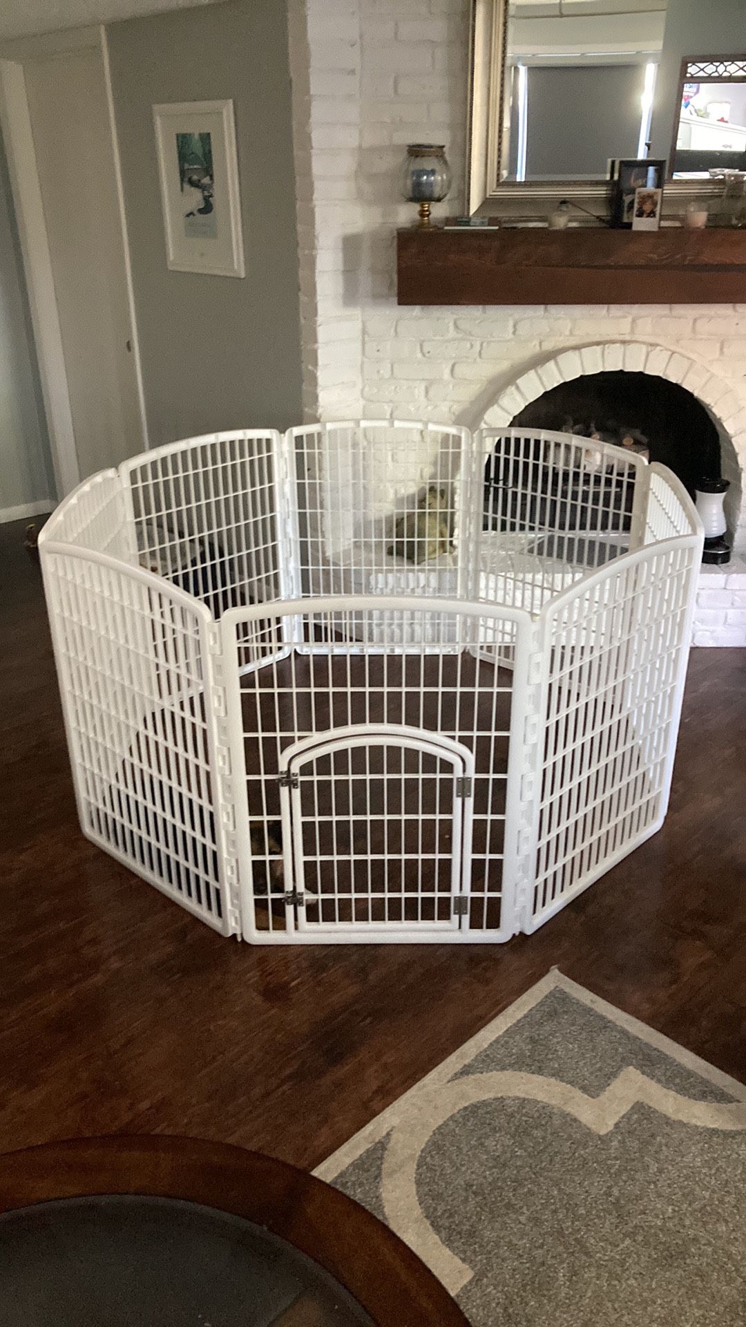 Pet Playpen